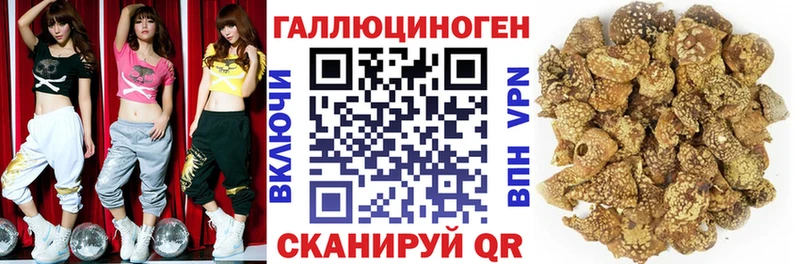 купить закладку  Макарьев  mega зеркало  Псилоцибиновые грибы GOLDEN TEACHER 